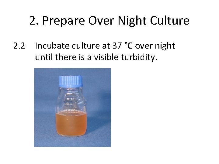 2. Prepare Over Night Culture 2. 2 Incubate culture at 37 °C over night