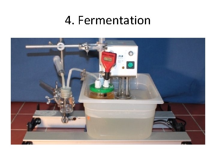 4. Fermentation 