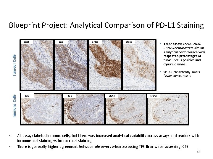 Blueprint Project: Analytical Comparison of PD-L 1 Staining 22 C 3 28 -8 SP