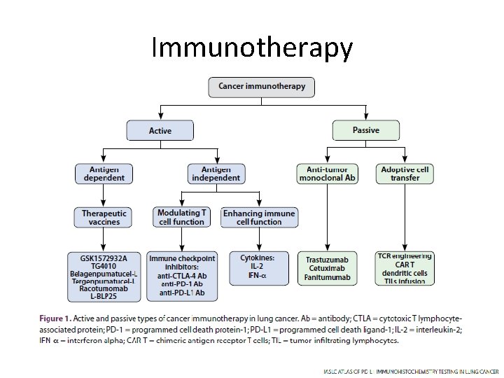 Immunotherapy 