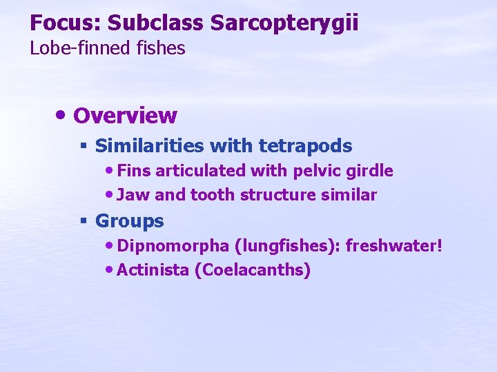 Focus: Subclass Sarcopterygii Lobe-finned fishes • Overview § Similarities with tetrapods • Fins articulated