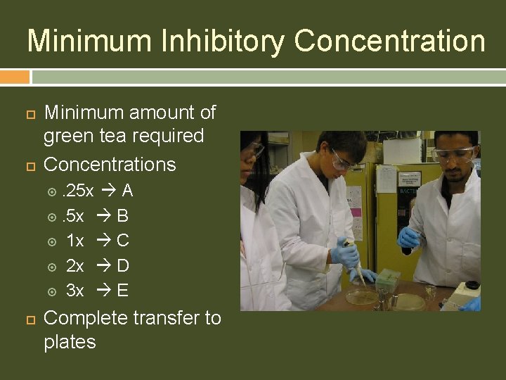Minimum Inhibitory Concentration Minimum amount of green tea required Concentrations . 25 x A