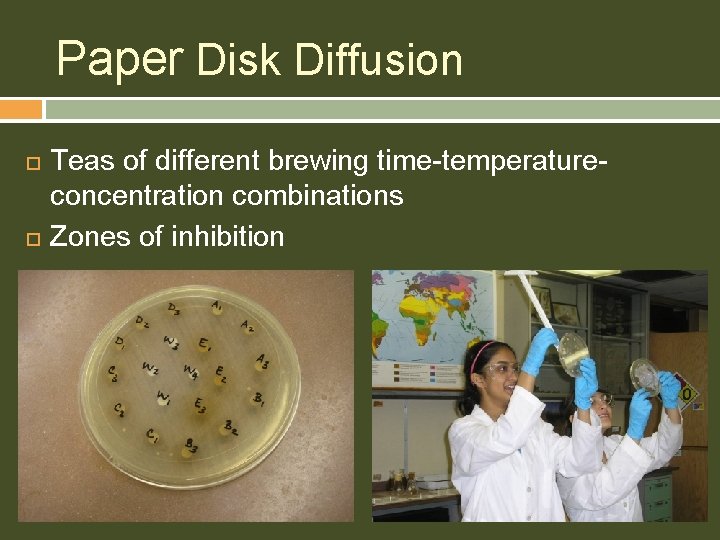 Paper Disk Diffusion Teas of different brewing time-temperatureconcentration combinations Zones of inhibition 