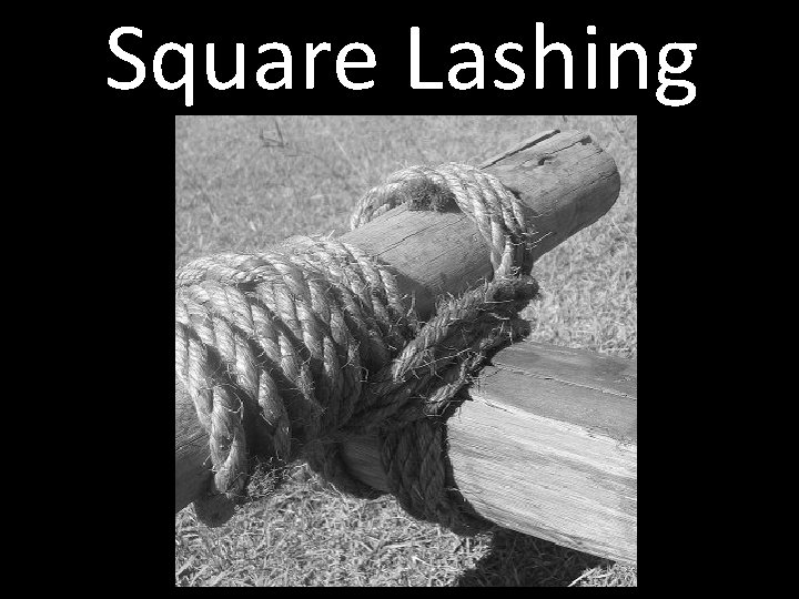 Square Lashing 
