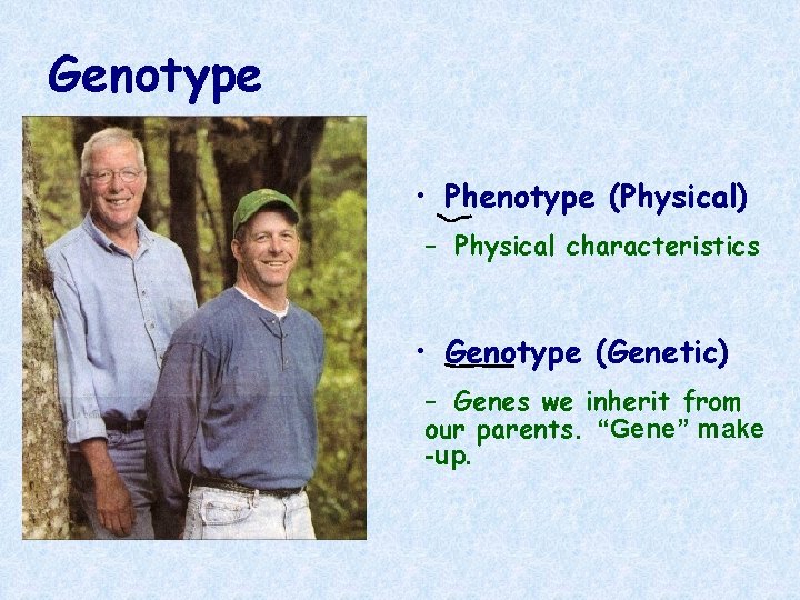 Genotype • Phenotype (Physical) – Physical characteristics • Genotype (Genetic) – Genes we inherit
