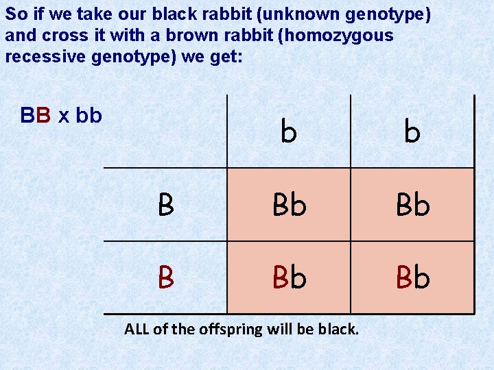 So if we take our black rabbit (unknown genotype) and cross it with a