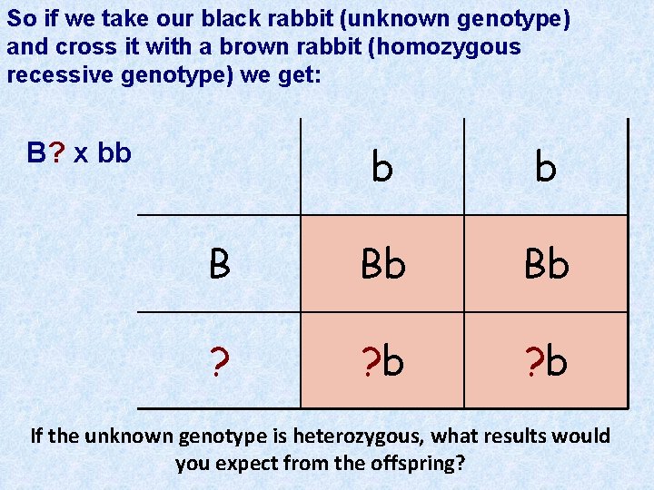 So if we take our black rabbit (unknown genotype) and cross it with a