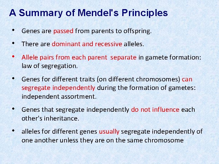  A Summary of Mendel's Principles • • • Genes are passed from parents
