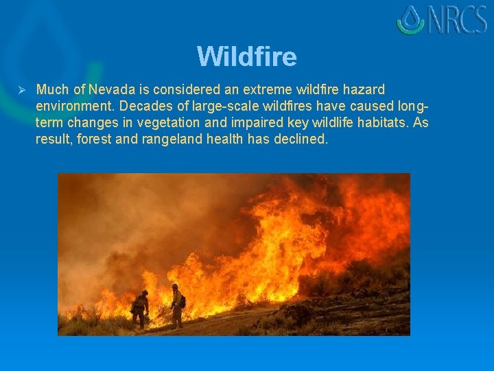 Wildfire Ø Much of Nevada is considered an extreme wildfire hazard environment. Decades of
