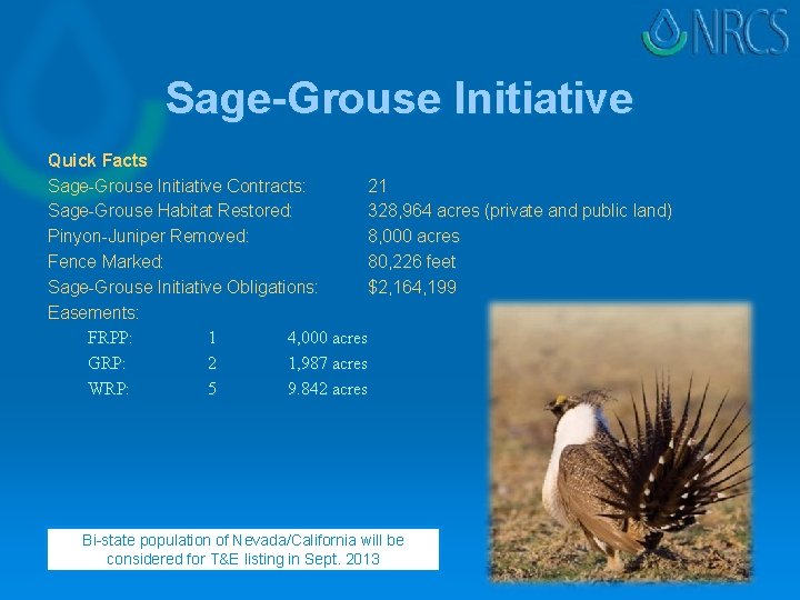 Sage-Grouse Initiative Quick Facts Sage-Grouse Initiative Contracts: 21 Sage-Grouse Habitat Restored: 328, 964 acres