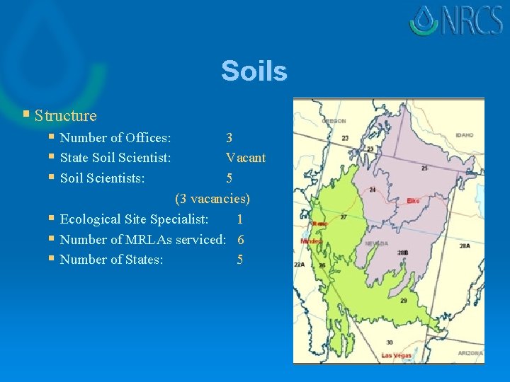 Soils § Structure § Number of Offices: § State Soil Scientist: § Soil Scientists: