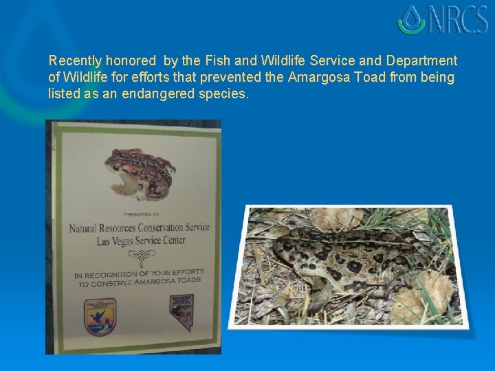 Recently honored by the Fish and Wildlife Service and Department of Wildlife for efforts