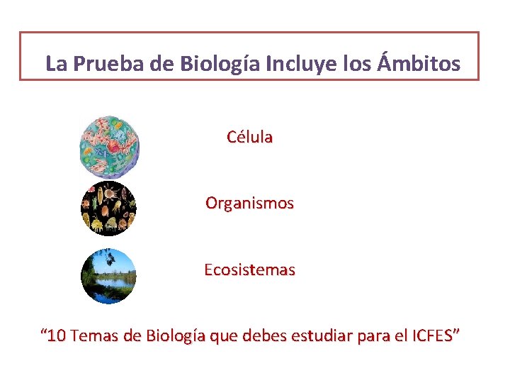 La Prueba de Biología Incluye los Ámbitos Célula Organismos Ecosistemas “ 10 Temas de