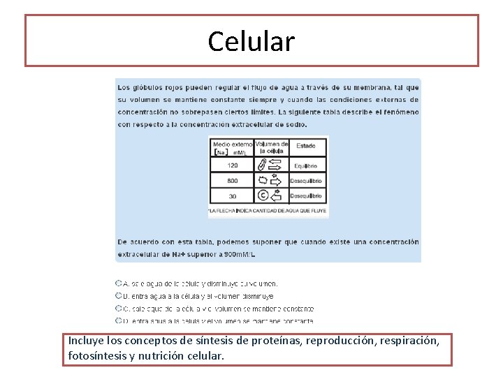 Celular Incluye los conceptos de síntesis de proteínas, reproducción, respiración, fotosíntesis y nutrición celular.