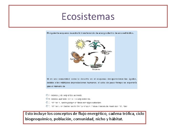 Ecosistemas Esto incluye los conceptos de flujo energético, cadena trófica, ciclo biogeoquímico, población, comunidad,