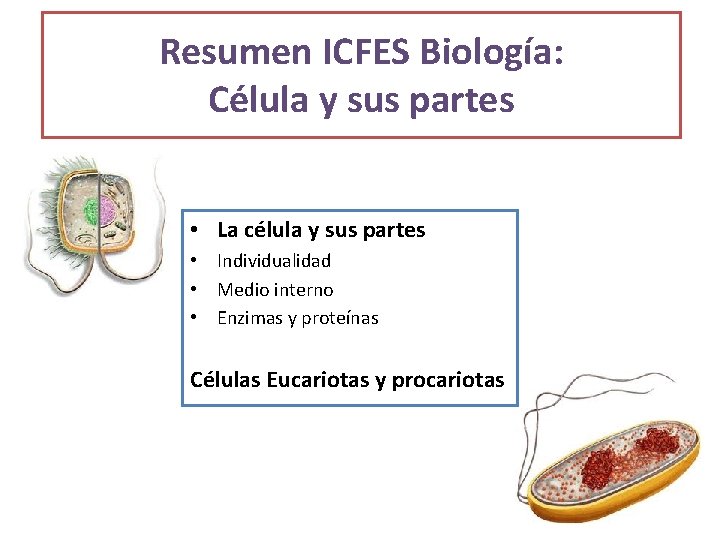 Resumen ICFES Biología: Célula y sus partes • La célula y sus partes •