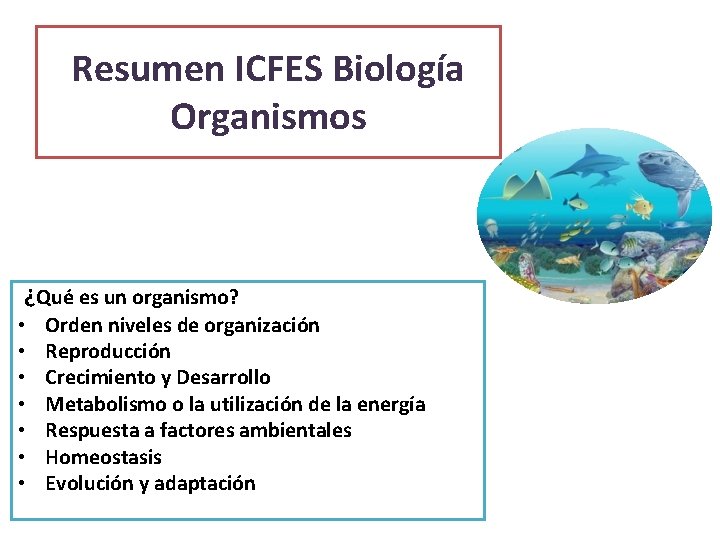 Resumen ICFES Biología Organismos ¿Qué es un organismo? • • Orden niveles de organización