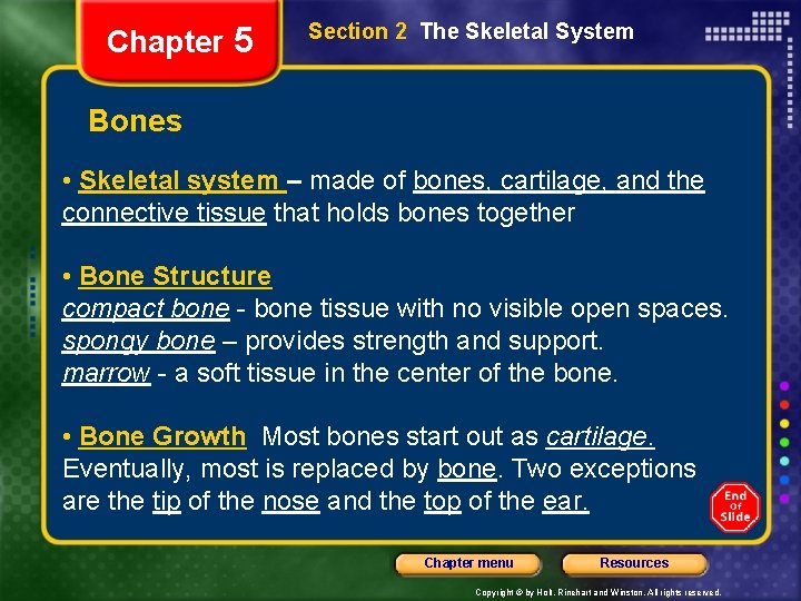 Chapter 5 Section 2 The Skeletal System Bones • Skeletal system – made of