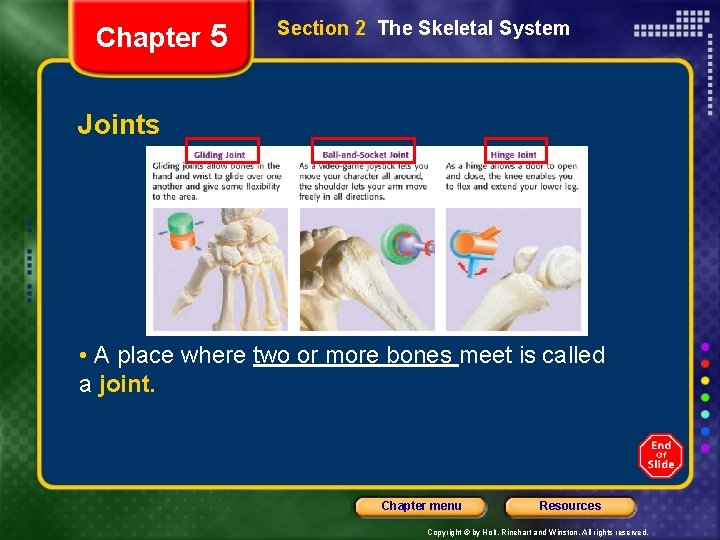 Chapter 5 Section 2 The Skeletal System Joints • A place where two or