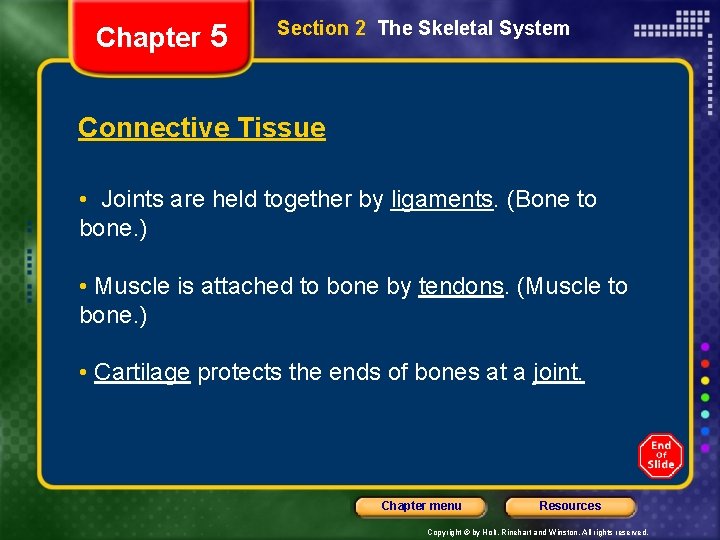 Chapter 5 Section 2 The Skeletal System Connective Tissue • Joints are held together