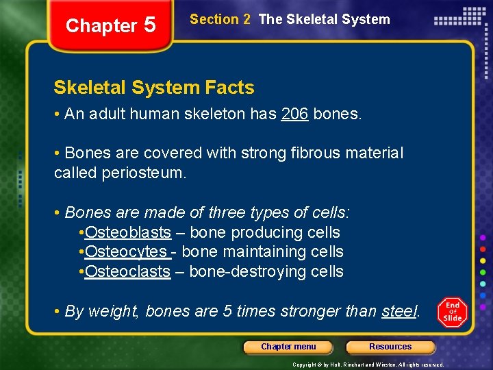 Chapter 5 Section 2 The Skeletal System Facts • An adult human skeleton has