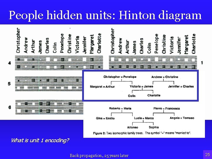 People hidden units: Hinton diagram • What does the unit 1 encode? What is