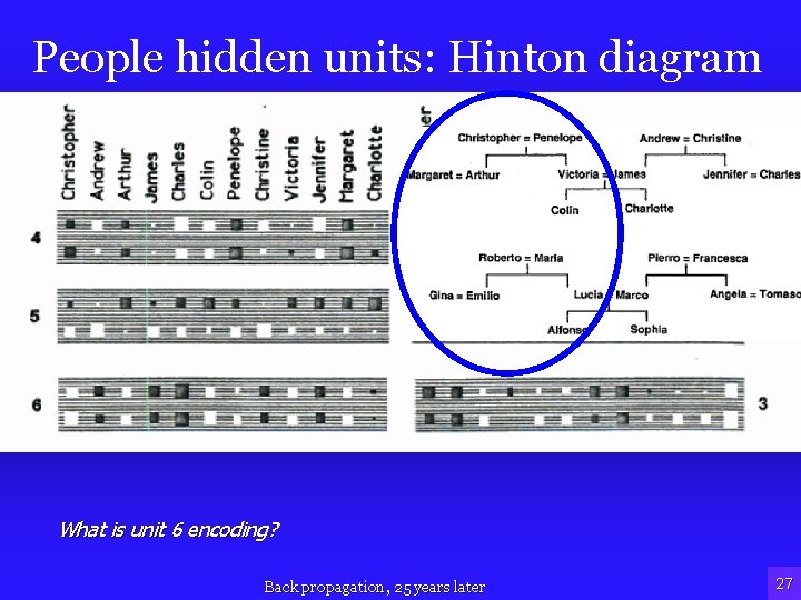 People hidden units: Hinton diagram • Unit 6? What is unit 6 encoding? Back