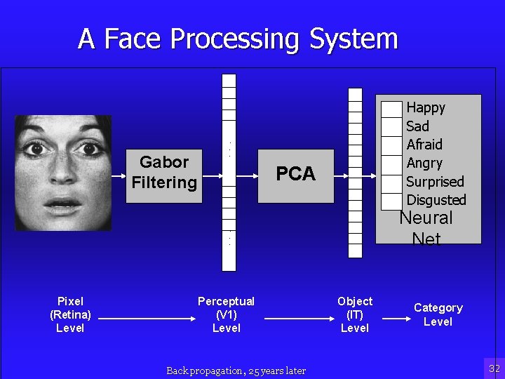 A Face Processing System Gabor Filtering Happy Sad Afraid Angry Surprised Disgusted . .