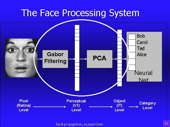 The Face Processing System Gabor Filtering Bob Carol Ted Alice . . . PCA