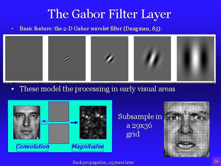 The Gabor Filter Layer • Basic feature: the 2 -D Gabor wavelet filter (Daugman,