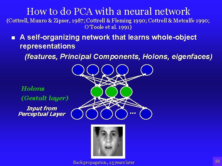 How to do PCA with a neural network (Cottrell, Munro & Zipser, 1987; Cottrell