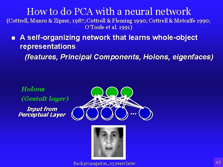 How to do PCA with a neural network (Cottrell, Munro & Zipser, 1987; Cottrell