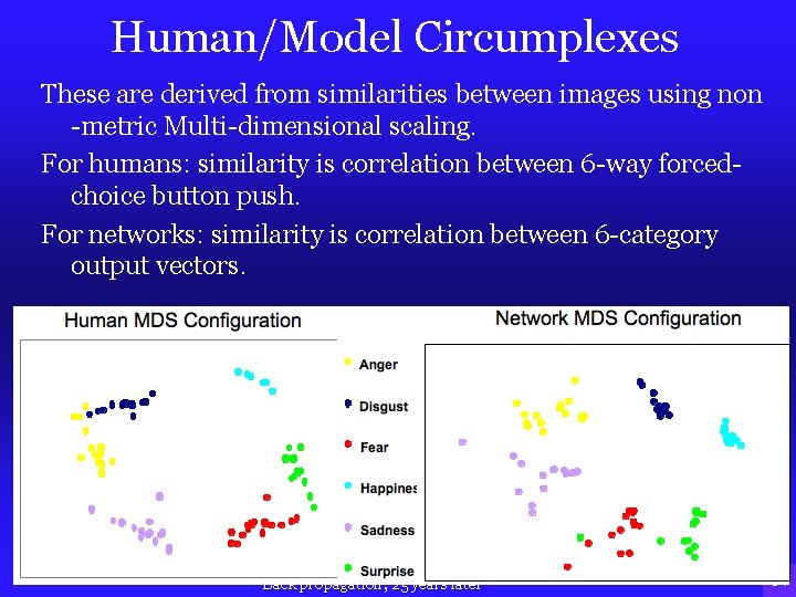 Human/Model Circumplexes These are derived from similarities between images using non -metric Multi-dimensional scaling.