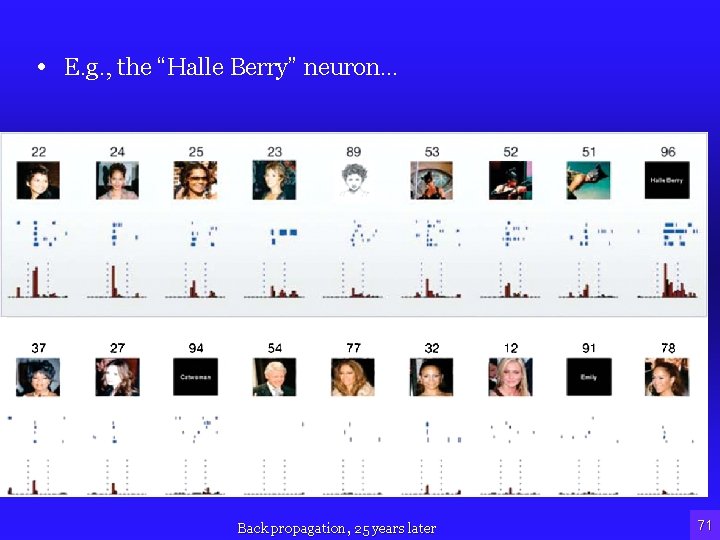  • E. g. , the “Halle Berry” neuron… Back propagation, 25 years later
