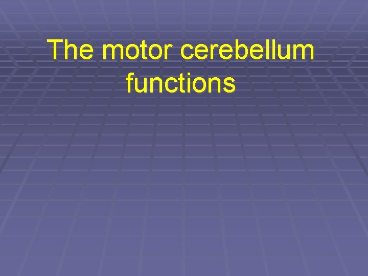 The motor cerebellum functions 