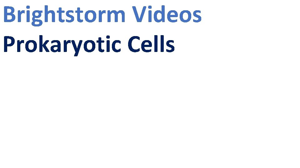 Brightstorm Videos Prokaryotic Cells 