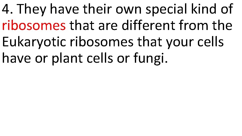 4. They have their own special kind of ribosomes that are different from the