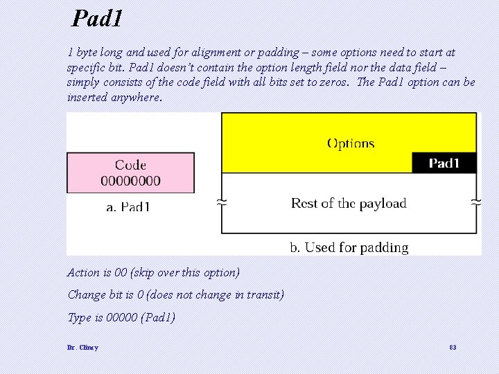 Pad 1 1 byte long and used for alignment or padding – some options