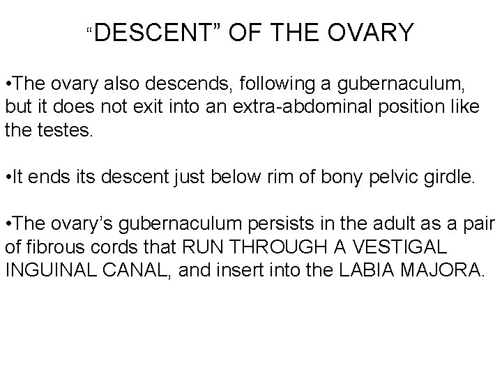 “DESCENT” OF THE OVARY • The ovary also descends, following a gubernaculum, but it