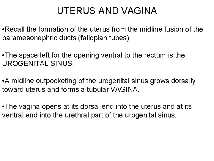 UTERUS AND VAGINA • Recall the formation of the uterus from the midline fusion