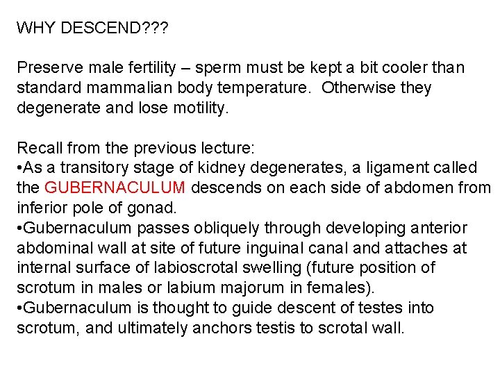 WHY DESCEND? ? ? Preserve male fertility – sperm must be kept a bit