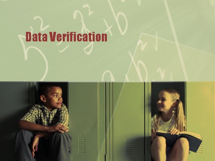 Data Verification 