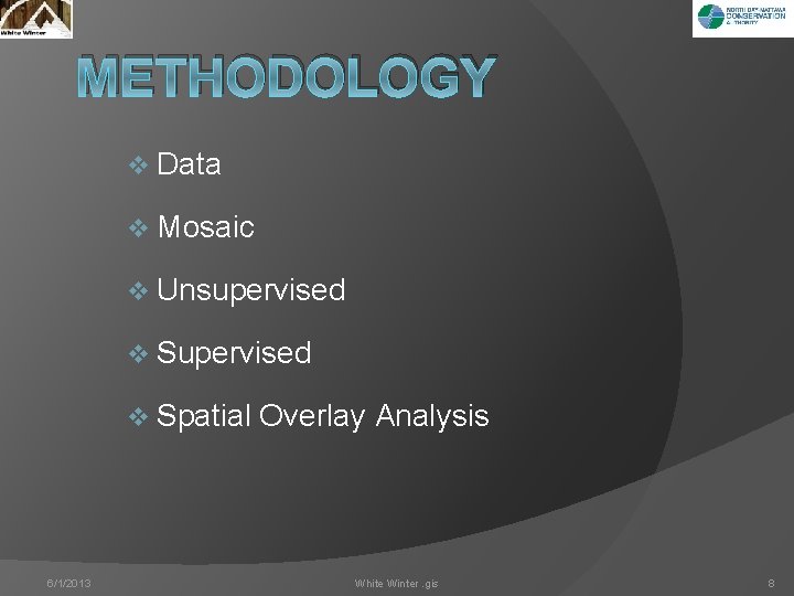METHODOLOGY v Data v Mosaic v Unsupervised v Spatial 6/1/2013 Overlay Analysis White Winter.