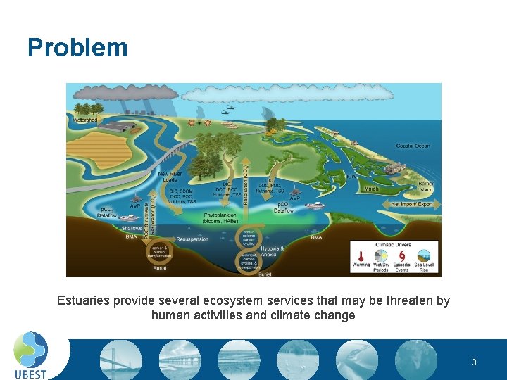 Problem Estuaries provide several ecosystem services that may be threaten by human activities and