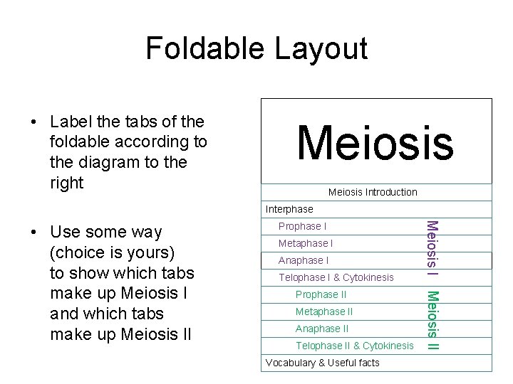 Foldable Layout • Label the tabs of the foldable according to the diagram to
