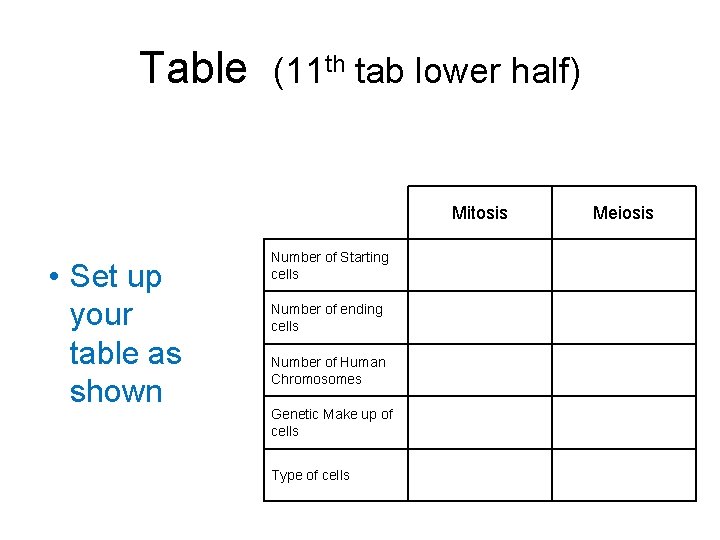 Table (11 th tab lower half) Mitosis • Set up your table as shown