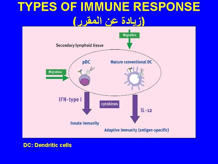 TYPES OF IMMUNE RESPONSE ( )ﺯﻳﺎﺩﺓ ﻋﻦ ﺍﻟﻤﻘﺮﺭ DC: Dendritic cells 