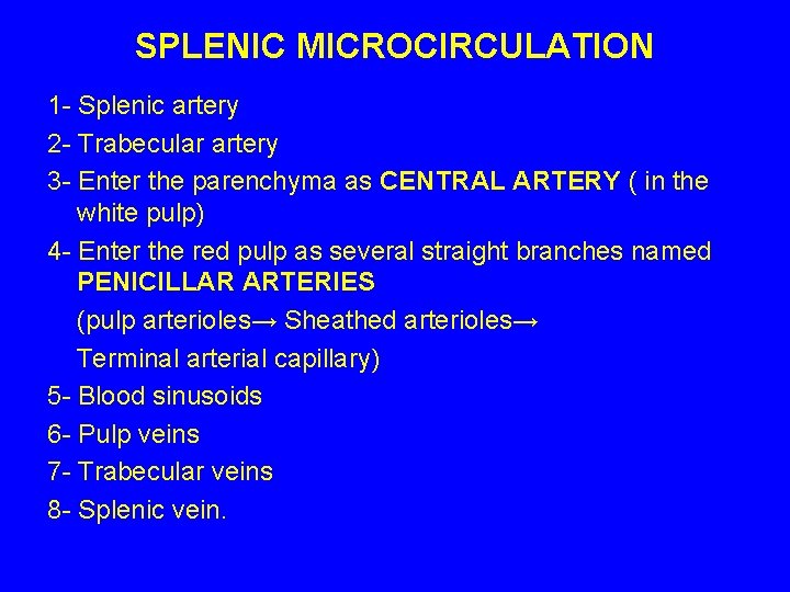 SPLENIC MICROCIRCULATION 1 - Splenic artery 2 - Trabecular artery 3 - Enter the