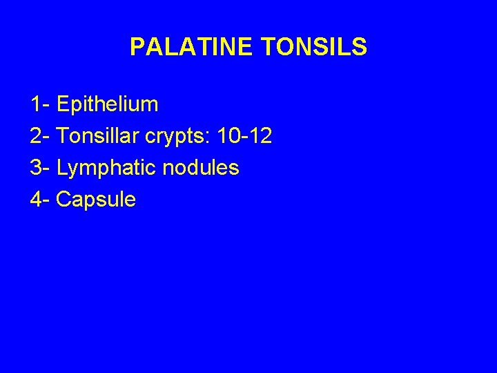 PALATINE TONSILS 1 - Epithelium 2 - Tonsillar crypts: 10 -12 3 - Lymphatic