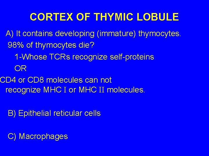 CORTEX OF THYMIC LOBULE A) It contains developing (immature) thymocytes. 98% of thymocytes die?